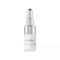 Хна для бровей с экстрактом имбиря Henna Refresh (Chestnut) 3г
